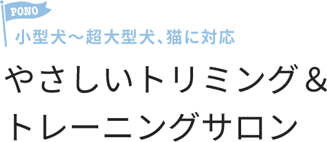 小型犬～超大型犬、猫に対応 やさしいトリミング＆トレーニングサロン